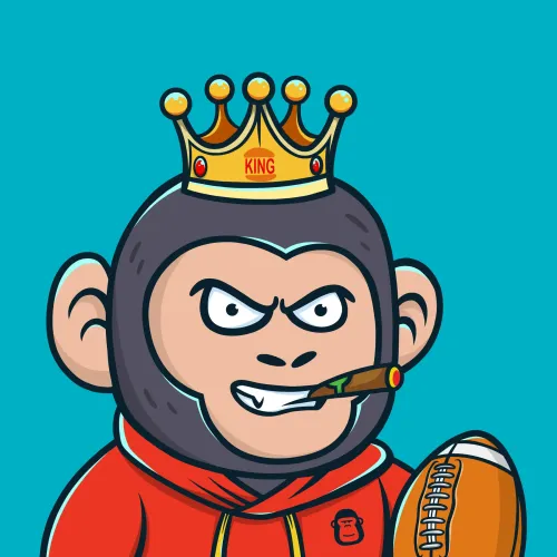 Chimp #373