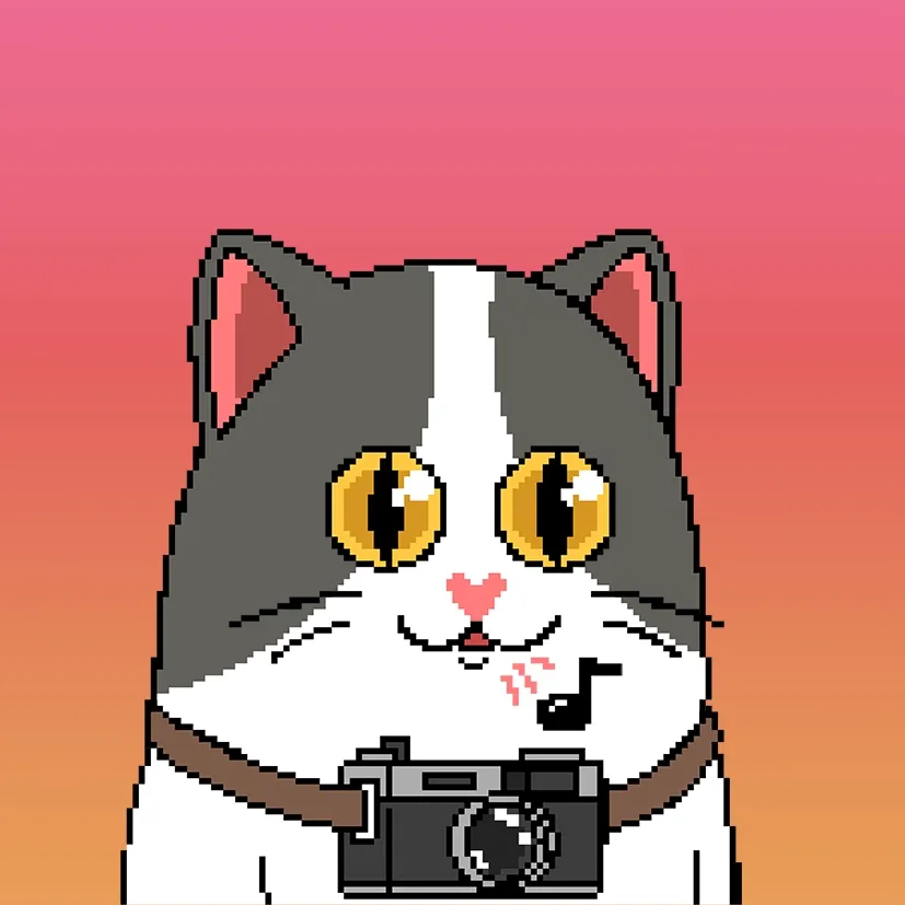 Liberty Cats