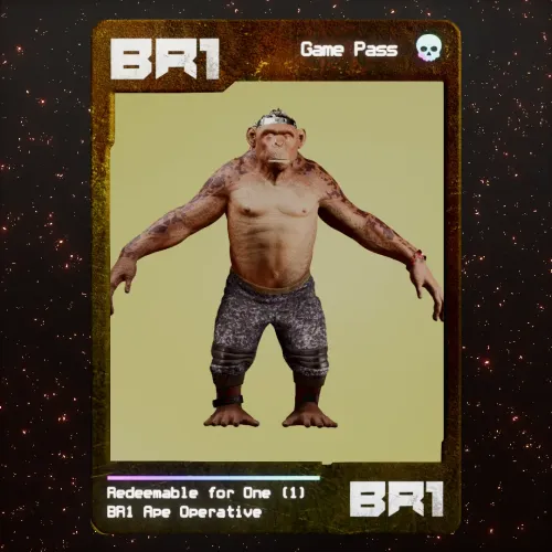 BR1 Character #1082