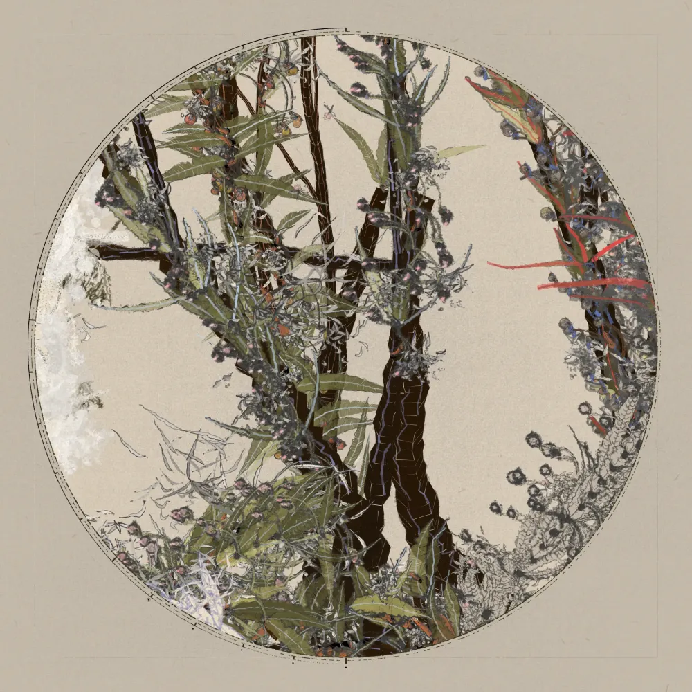 Polypaths | 植徑集 #151