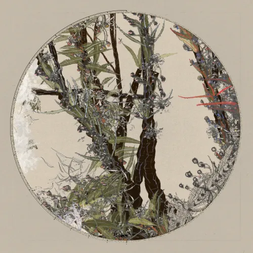 Polypaths | 植徑集 #151
