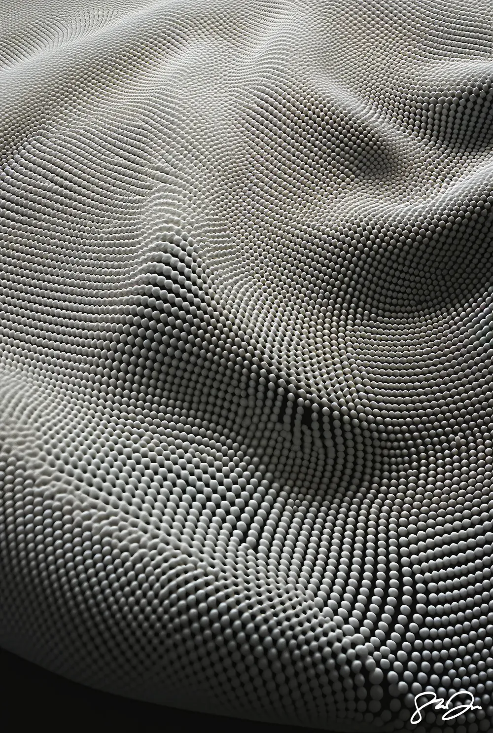 Anomaly AI 310 #4873