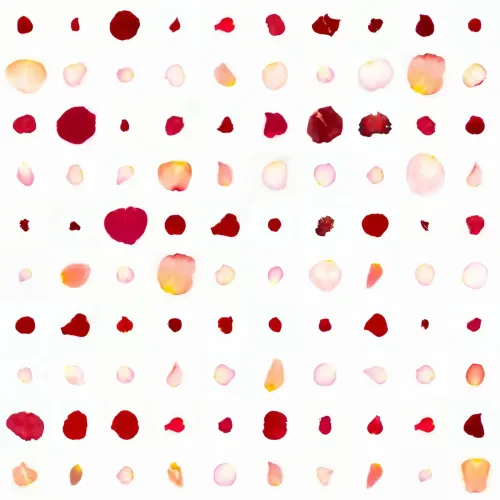 Infinite Petals 10x10#2509