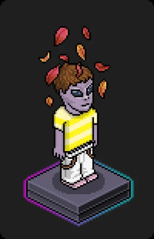 Habbo Crafted Avatar #1062