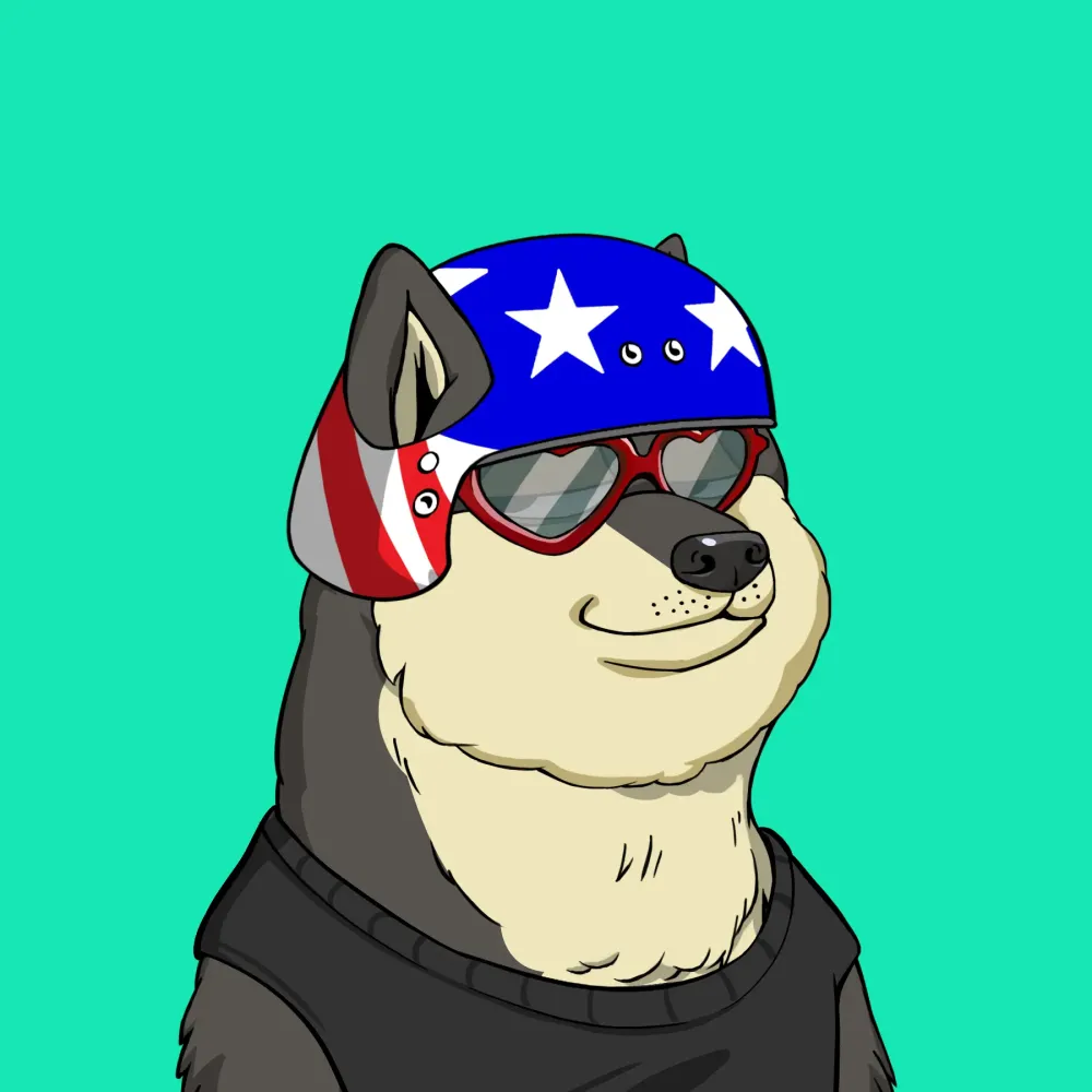 Doge Club(DOGC) #6564