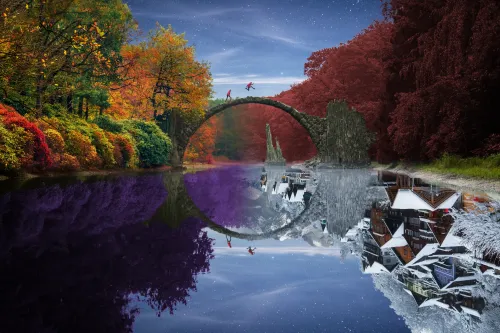Reflection #276