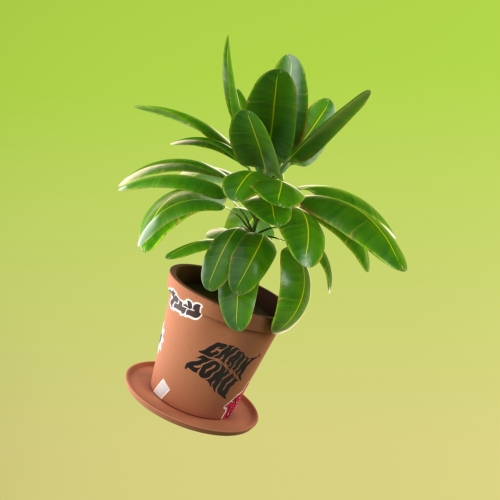 'GM' Green Plant #5