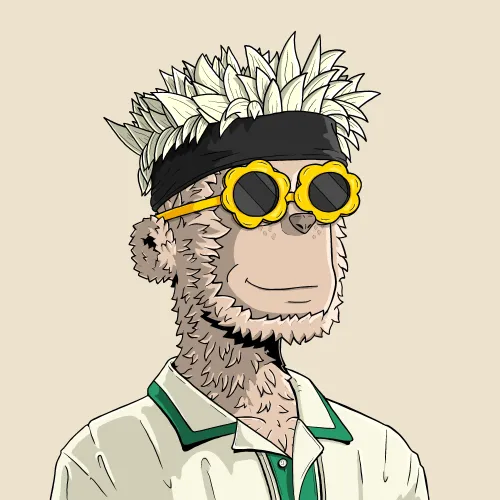 y00t #7567
