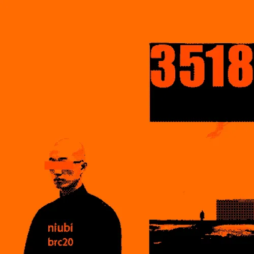 #41138685