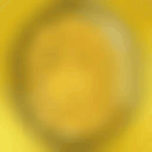 Reveal in Progress #6010