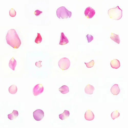 Infinite Petals 5x5#1799