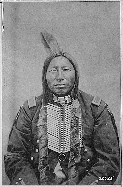 Crow King, a Hunkpapa Sioux; half-length, wearing part of a major's uniform #4