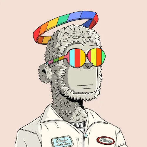 y00t #2264