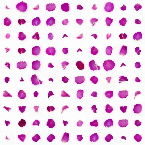 Infinite Petals 10x10#2275