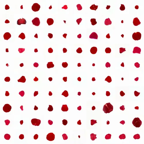 Infinite Petals 10x10#2479