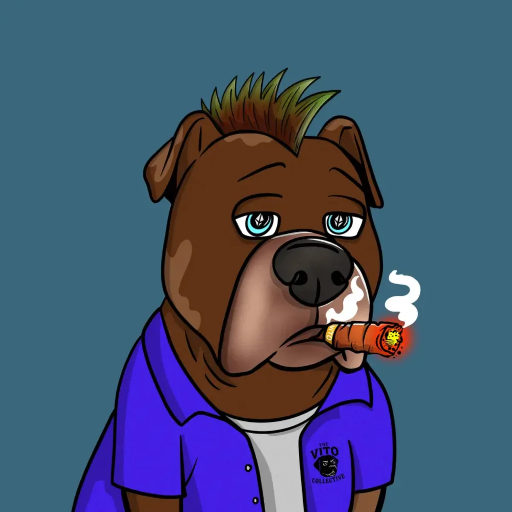 Vito #312