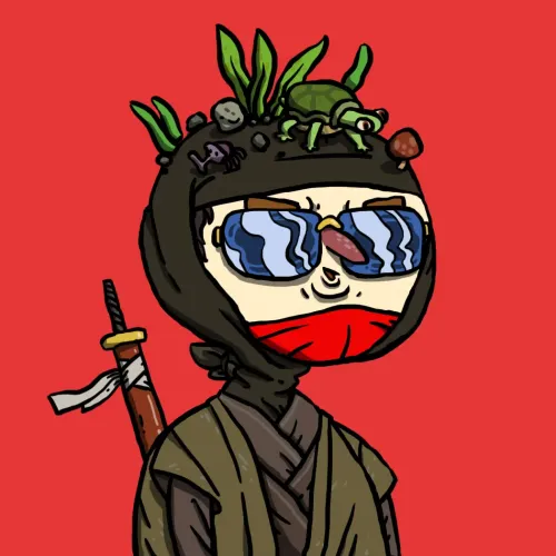 Ninja #5238