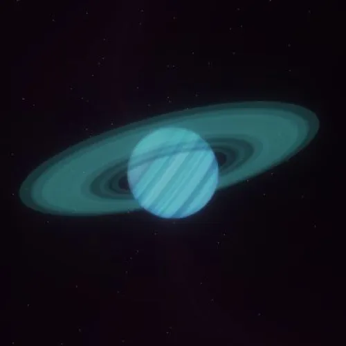 D13P1266 (#93903680)