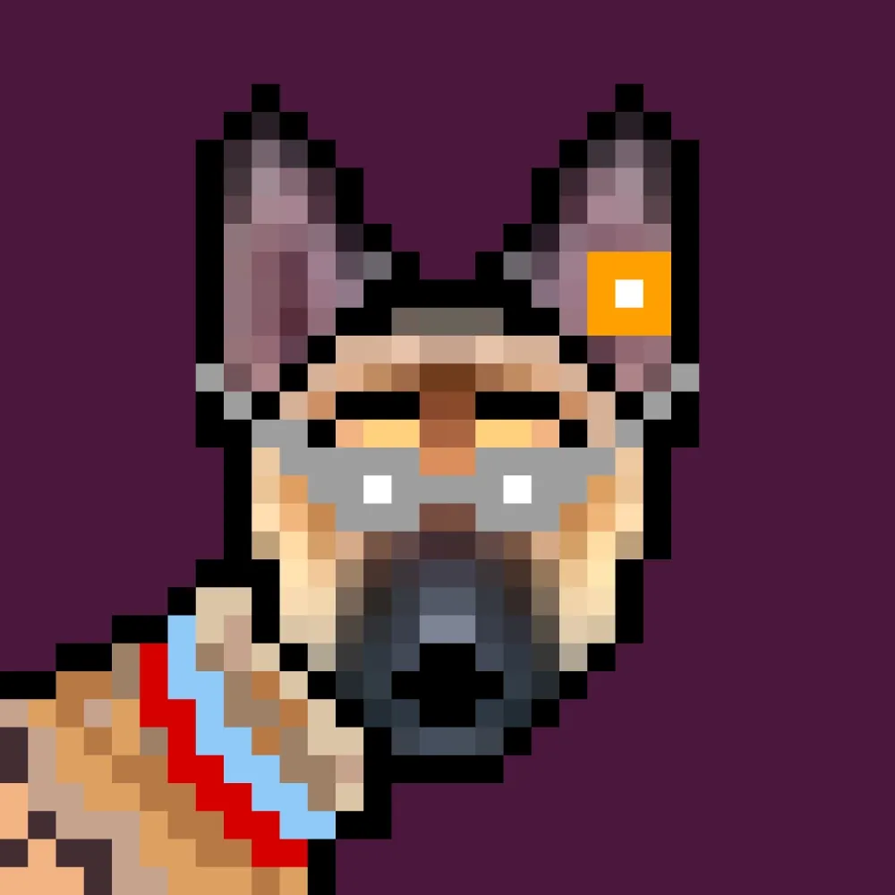 Crypto Dog #6