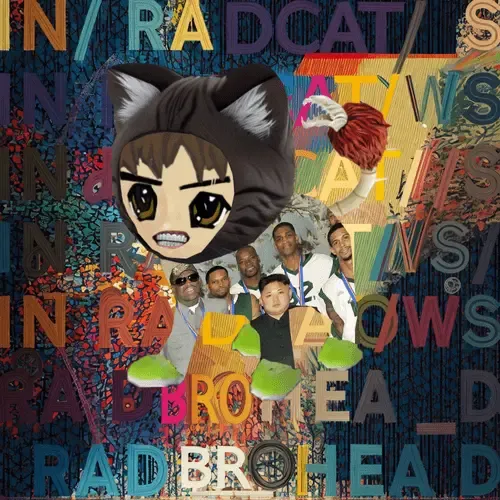 Radcat #5800