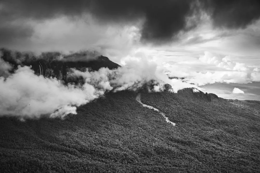 Amazonia - Sebastiao Salgado #2959