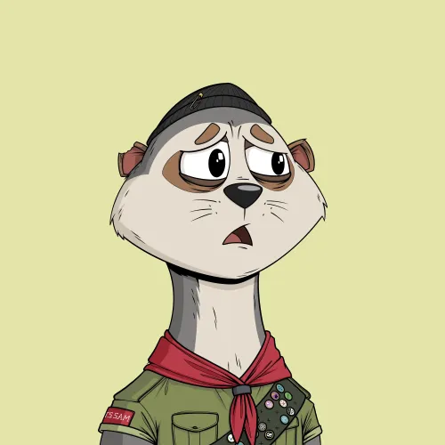 Worried Meerkat #576