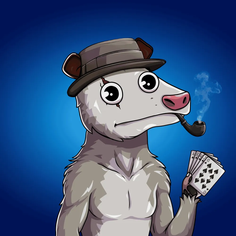 WTF Opossum #367