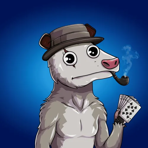 WTF Opossum #367
