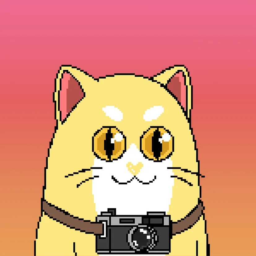 Liberty Cats