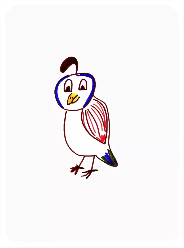 QuickQuail #7657
