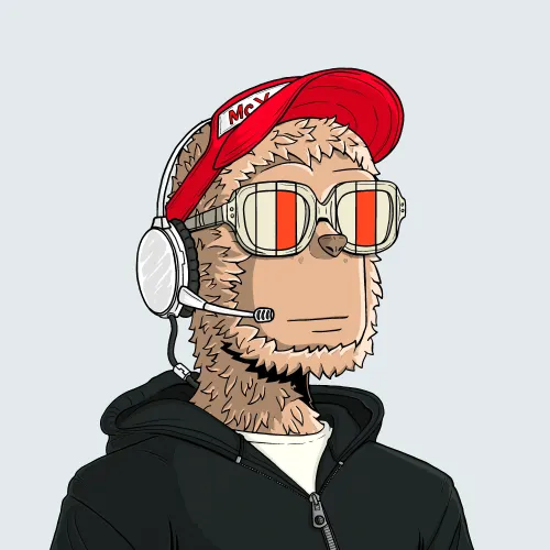 y00t #2293