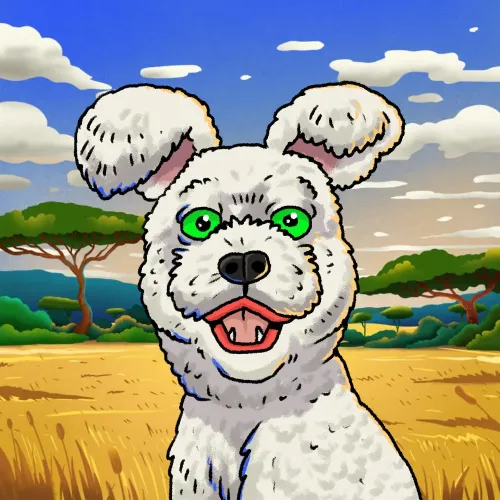 Pumi Pepe #957