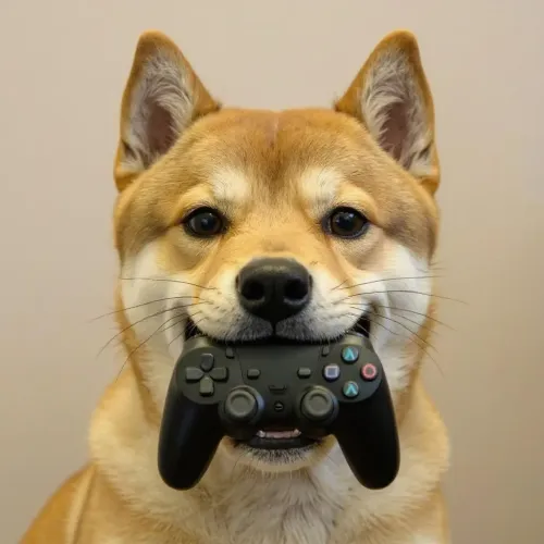dog #47