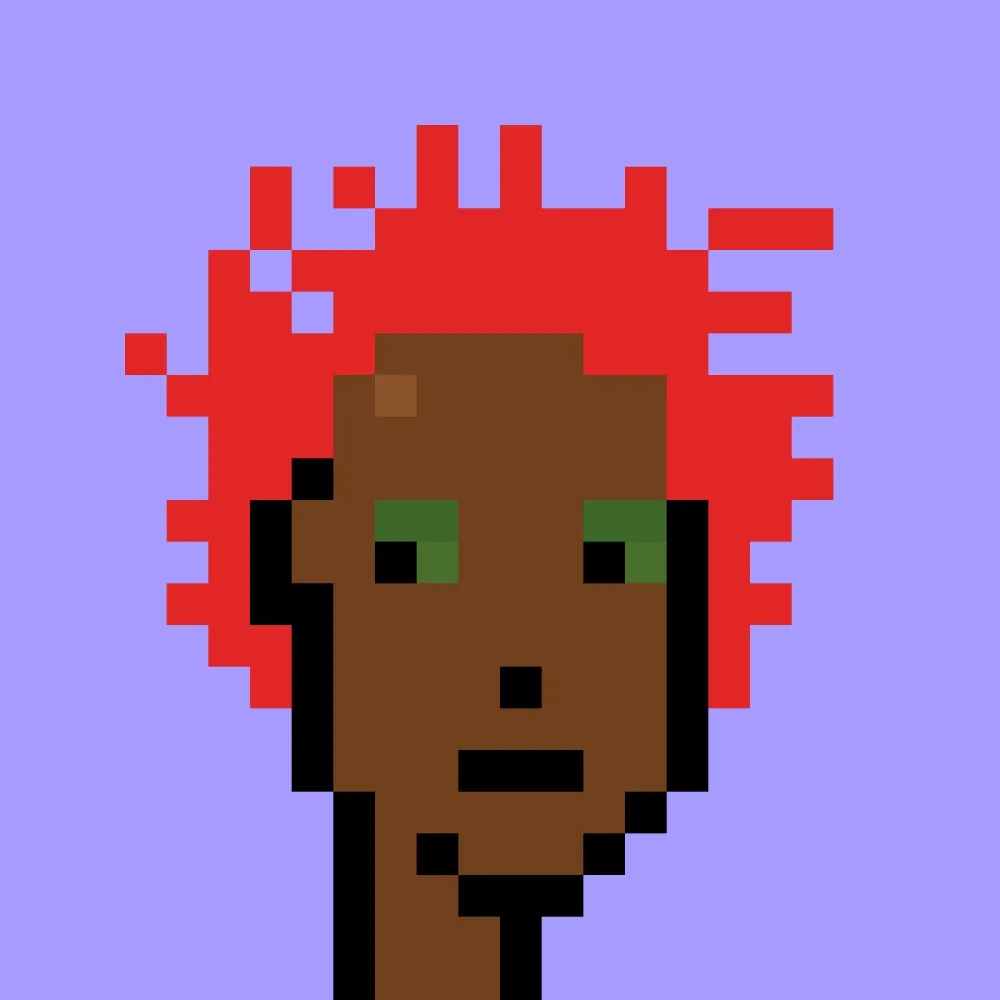 V1 PUNK #6757