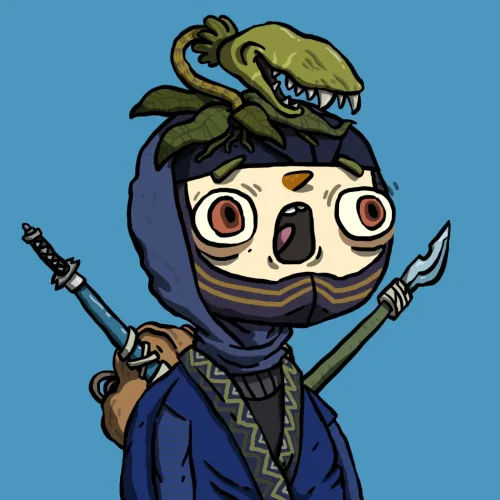 Ninja #6475