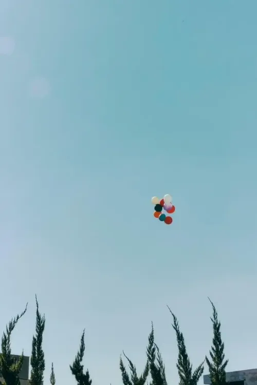 13ALLOONZ