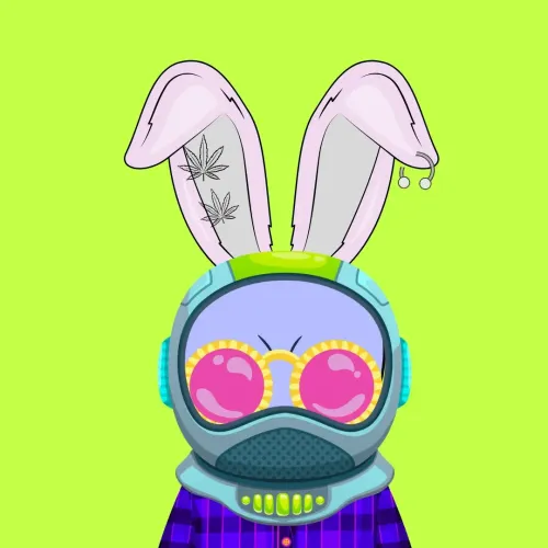  Stonned Rabbits #2258