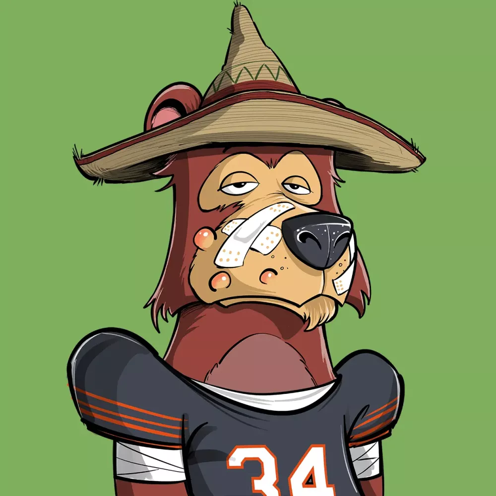 BearsOnTheBlock #2205