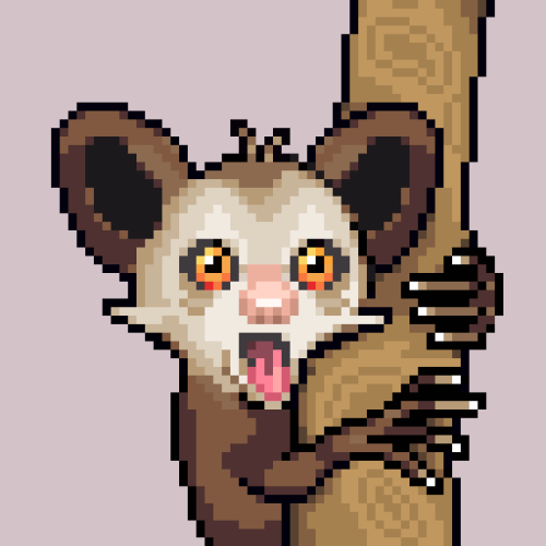 aye-aye #6