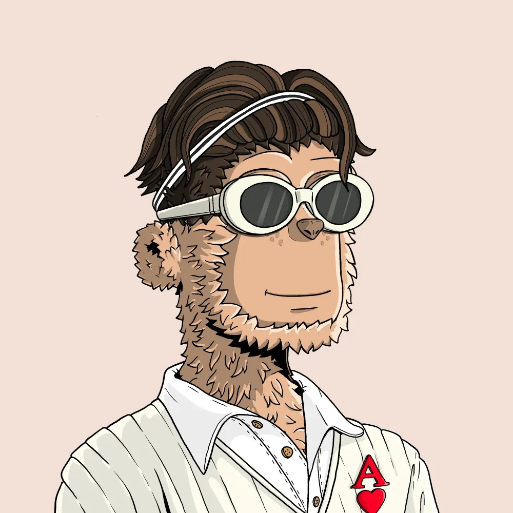 y00t #13289