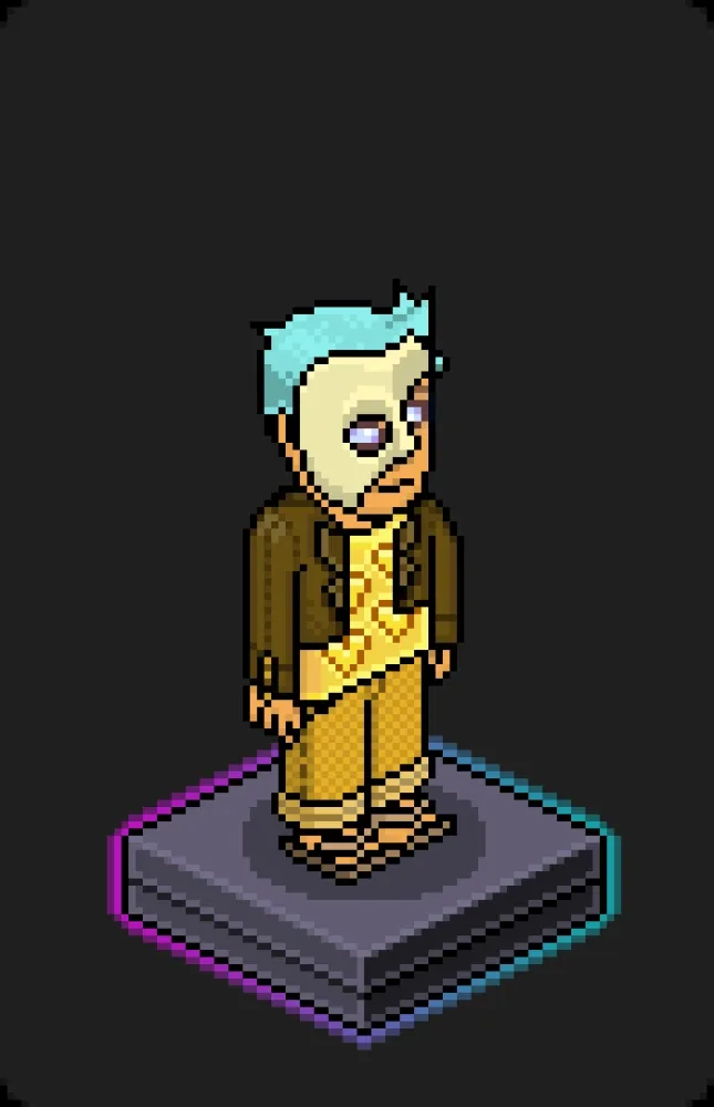 Habbo Crafted Avatar #1971