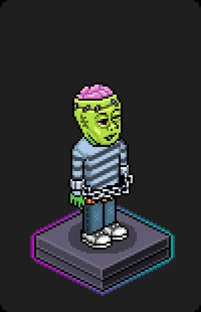 Habbo Crafted Avatar #1678