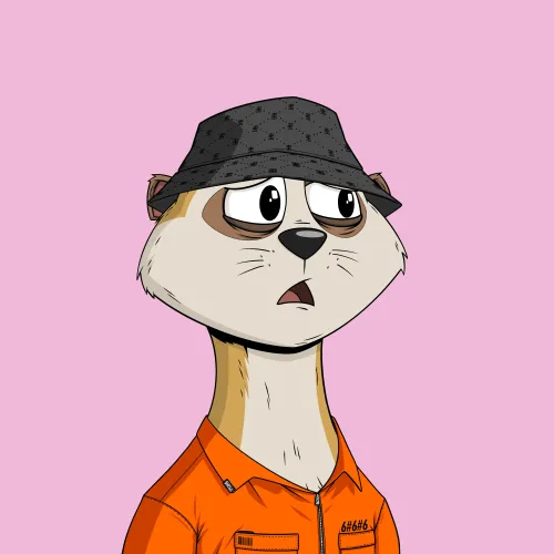 Worried Meerkat #542