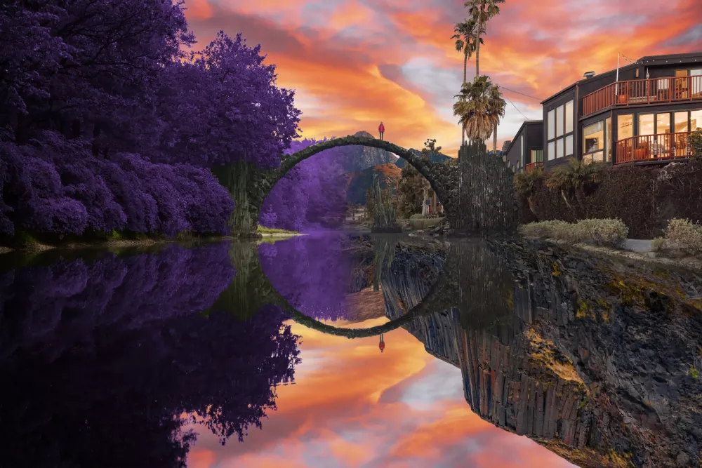 Reflection #835