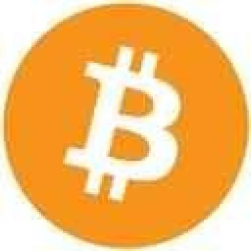 Bitcoin 131 （Inscription ＃46559）