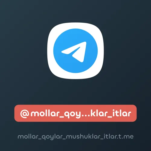 @mollar_qoylar_mushuklar_itlar