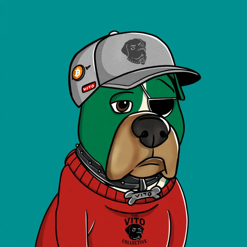 Vito #896