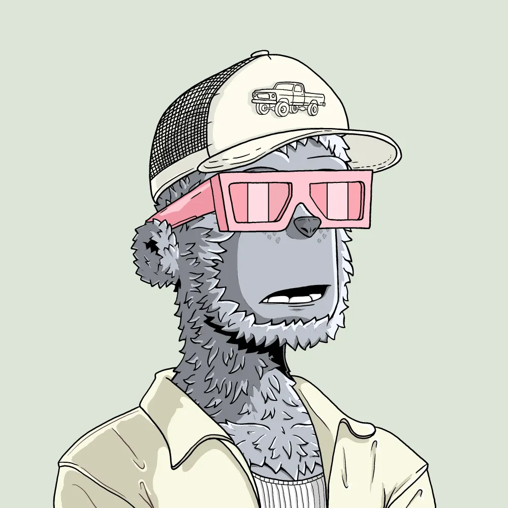 y00t #14516