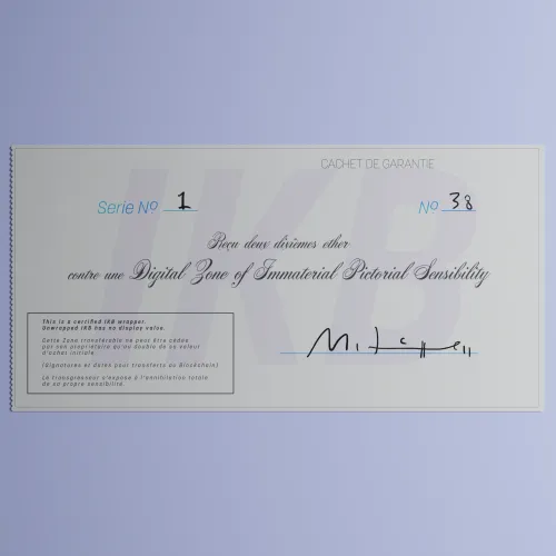 Digital Zone of Immaterial Pictorial Sensibility, Series 1, Edition 38. (Wrapped) #38