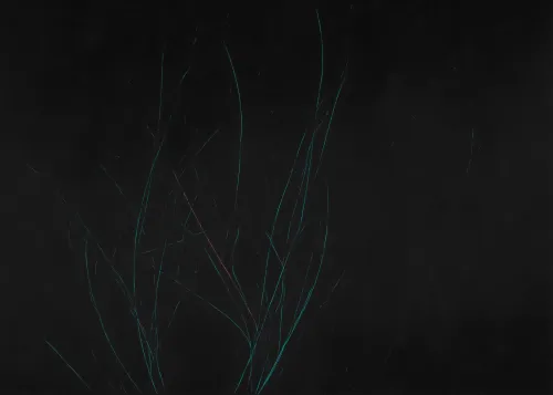 #430